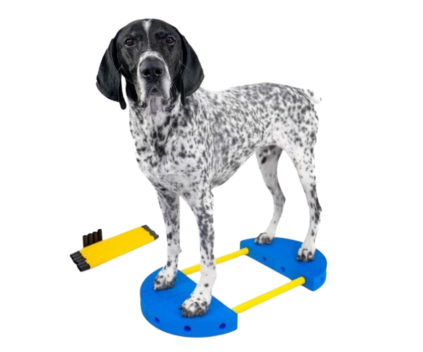NEW! FitPaws FitKinect 360 Kit for Dogs - Blocks & Tubes for Building Your Dog's Strength, Balance & Coordination