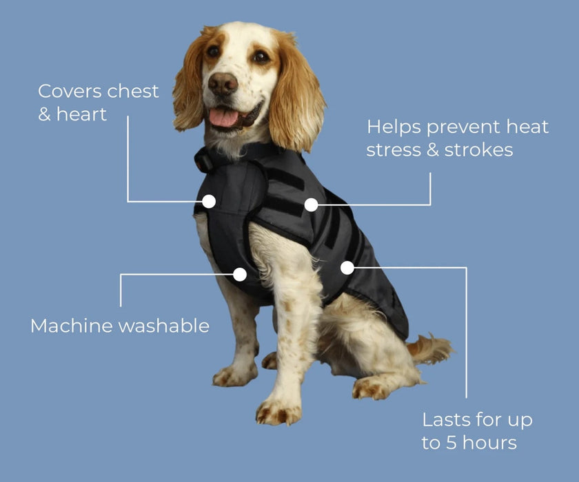 Paw Daw of London Luxury Cooling Dog Coat - Targeted Cooling & Sun Protection For Hot Weather