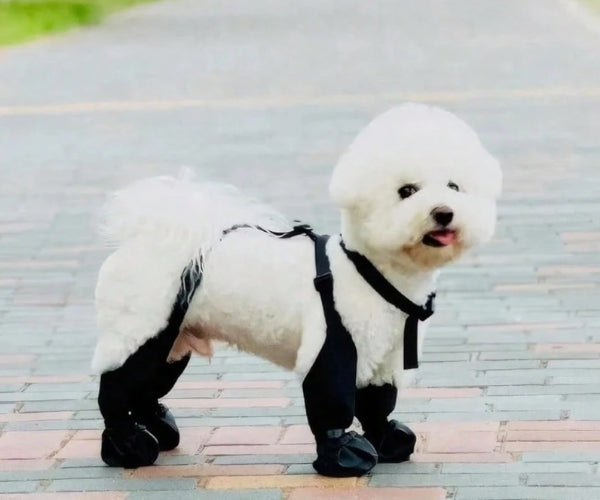 Waterproof Long Dog Boots - Secure & Waterproof for Winter Paw Protection (four boots)