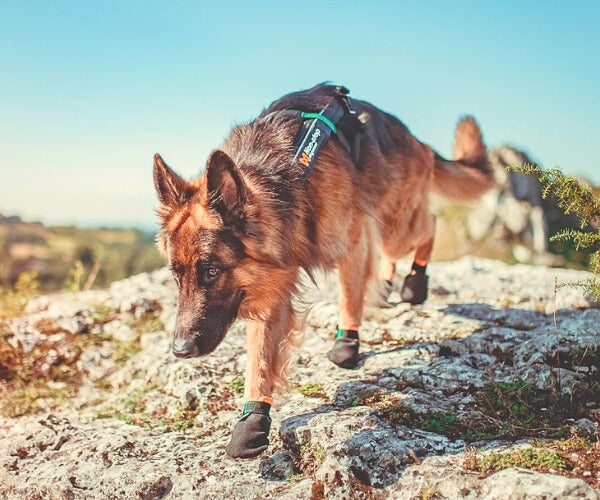 Non-Stop Dogwear Protector Dog Boots - Durable Protection Against Rough Surfaces (four boots)