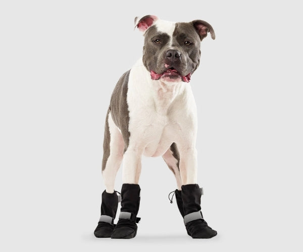 Canada Pooch Soft Shield Dog Boots - Cold Weather Boots With Rubber Grip (four boots)