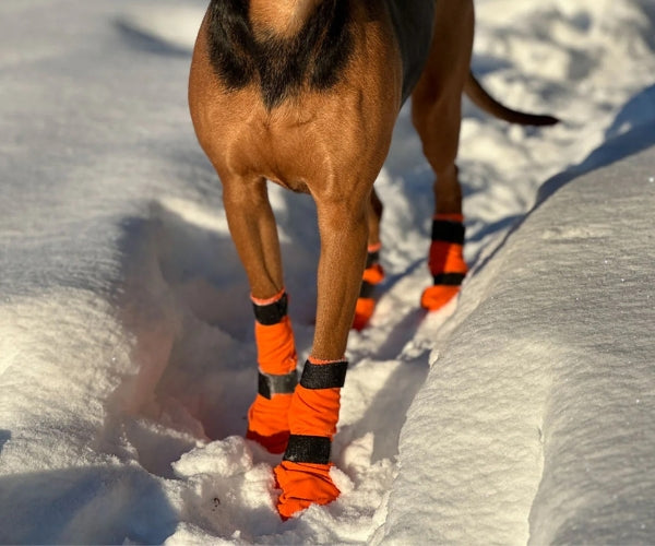 Non-Stop Dogwear Contact High Dog Boots - Protects Paws & Legs From Snow, Ice & Extreme Temperatures (four boots)