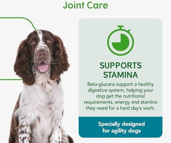 YuMOVE Joint Care for Working Dogs - Supports Mobility, Stamina & Joint Comfort 480 Tablets