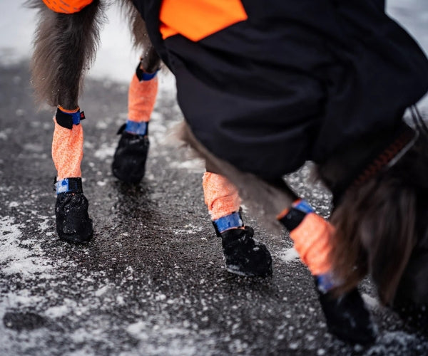 Non-Stop Dogwear High Protector Dog Boots - Heavy Duty Paw Protection for Sharp Surfaces (four boots)