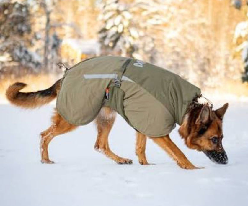 Non-Stop Dogwear Glacier Wool Jacket 3.0 for Dogs - Maximum Warmth & Comfort for Stiff Joints