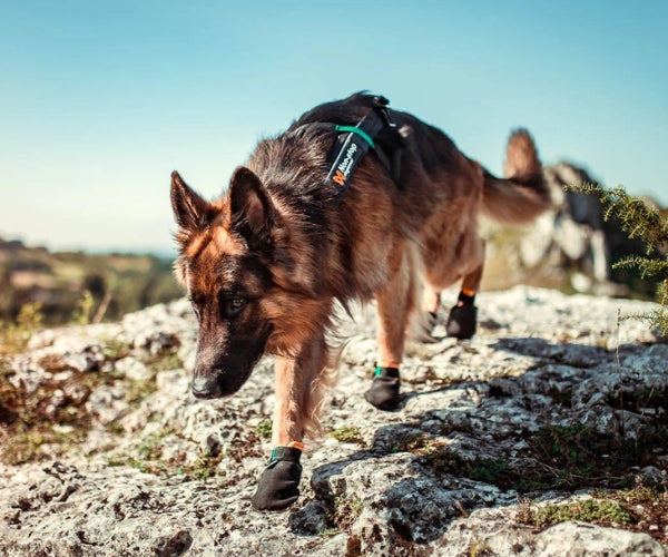 Non-Stop Dogwear Protector Dog Boots - Durable Protection Against Rough Surfaces (four boots)