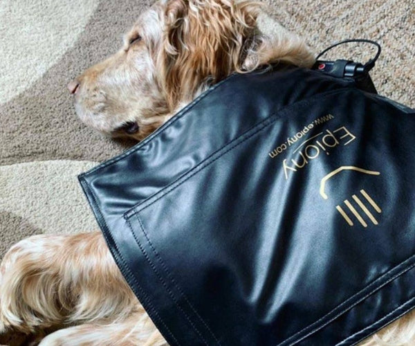 Epiony Heat Pad for Dogs - Targeted Warmth & Portable Heat Therapy
