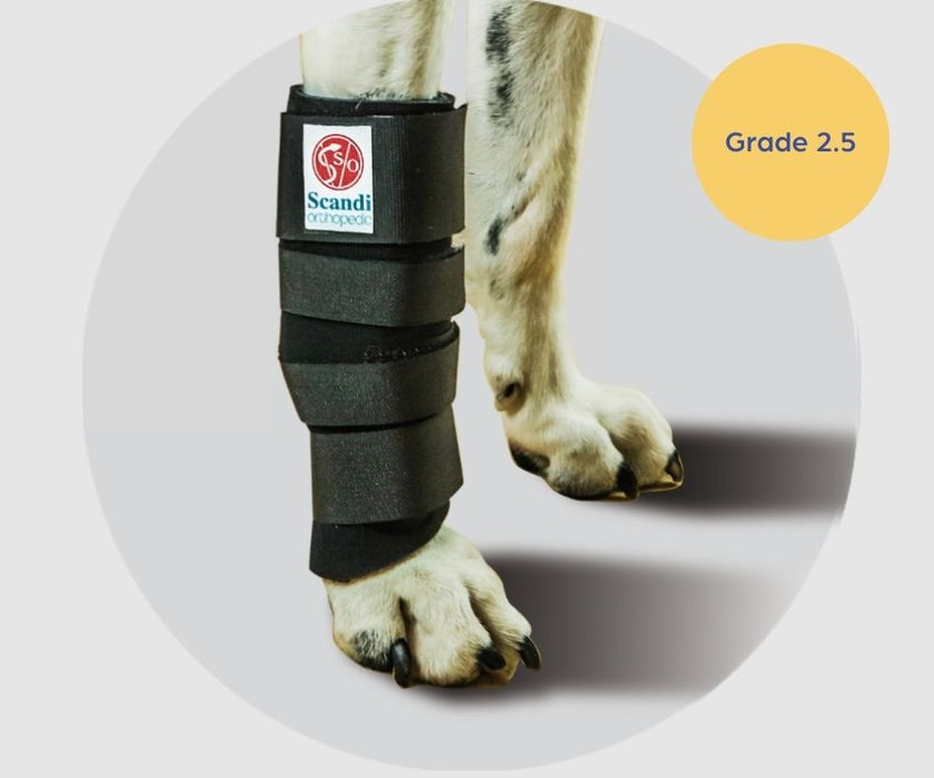 Scandi Orthopedic Dog Carpal Front Splint - Grade 2.5 (moderate)