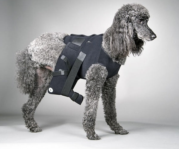 DogLeggs Ehmer Sling with Vest for Dogs - Enhances Your Dog's Comfort & Accelerates Their Recovery from Dislocated Hip