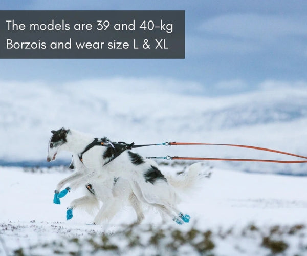 Non-Stop Dogwear Long Distance Dog Boots - Light Shoes with Good Grip to Protect Against Snow & Ice (four boots)