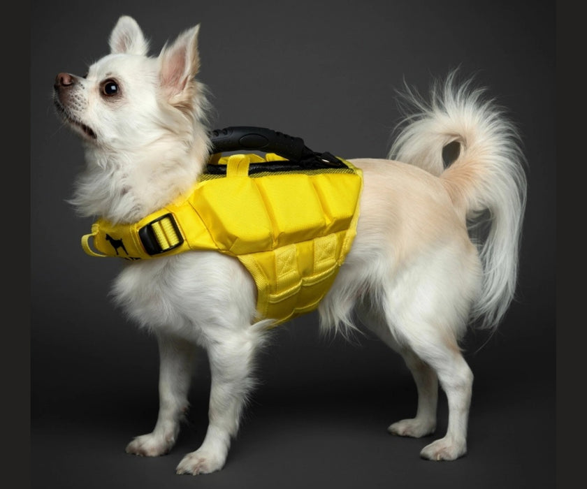 Noah & Paw Dog Life Jacket - Human Standards Life Jacket with Reinforced Rescue Handles for Comfortable & Supportive Swimming