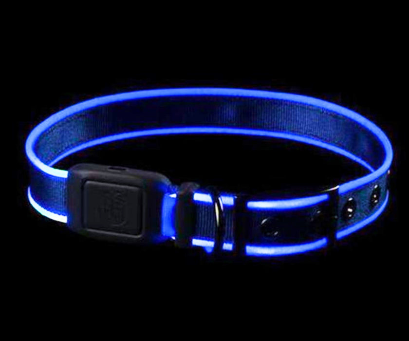 Nite Ize NiteDog Rechargeable LED Dog Collar - Bright End-to-End Illumination with Water Resistant Belt-Buckle Closure