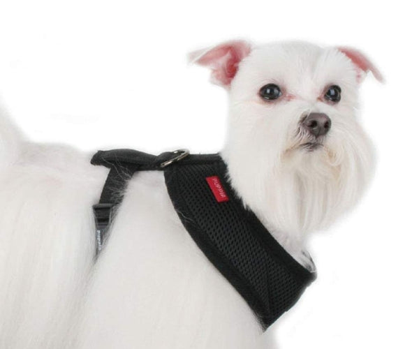 Puppia Soft Dog Harness - Soft & Adjustable Everyday Harness for Comfortable Walks