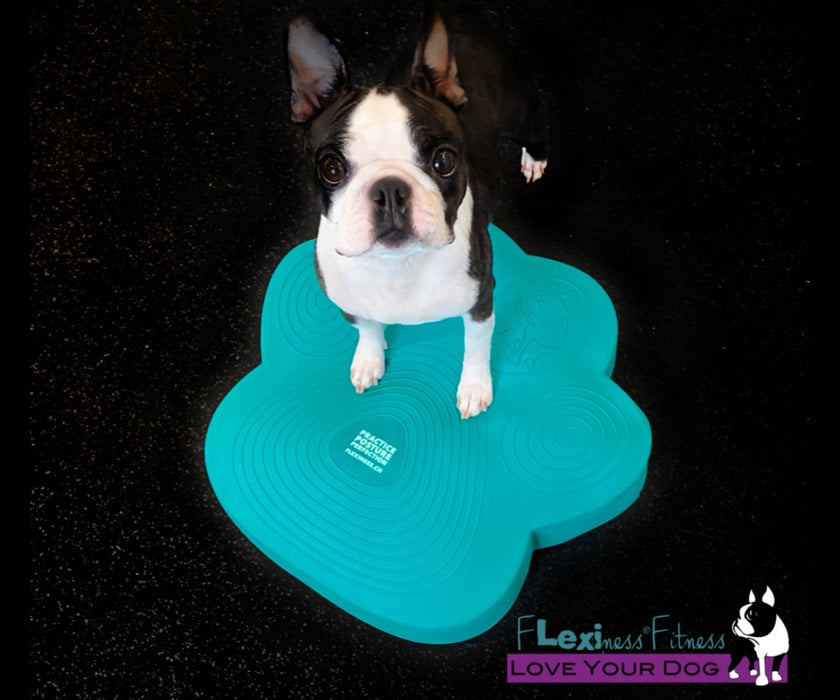 Flexiness Dog PawDisc Inflatable Training Disc - Builds Stability & Coordination for Rehab & Conditioning