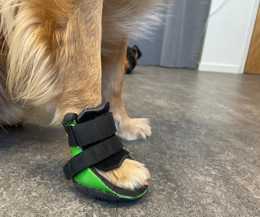 Scandi Orthopedic Dog Front or Back Boot Splint - Grade 4 (front or back paw)