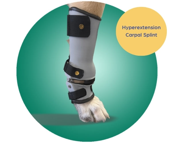 Scandi Orthopedic Dog Carpal Front Splint - Grade 4 (rigid) - Fully Customised