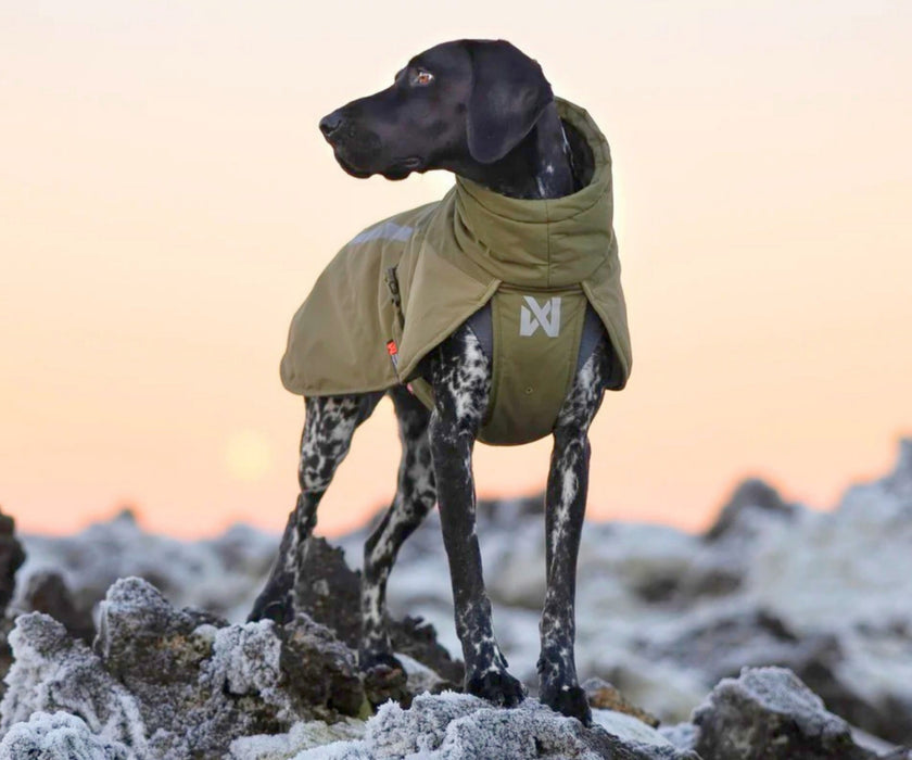 Non-Stop Dogwear Glacier Dog Wool Jacket 3.0 - Maximum Warmth & Comfort for Stiff Joints with 100% Merino Wool Lining