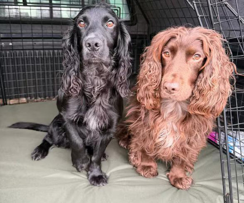 Tailored Pet Waterproof Dog Bed - Waterproof Orthopaedic Bed for Wet, Muddy & Active Dogs