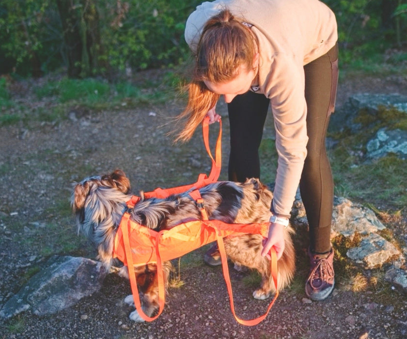 Non-Stop Dogwear Full Body Dog Sling - Help Your Dog Through Injury, Recovery & Adventure up to 50kg