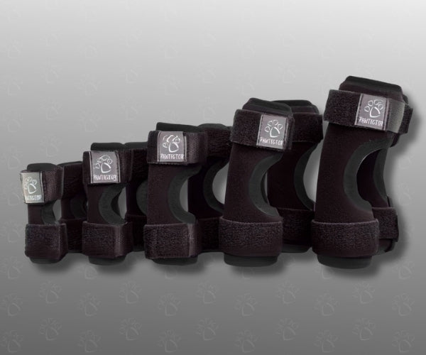 Pawtector Carpiflex Sports Wrap for Dogs - Provides Gentle Compression & Joint Stability