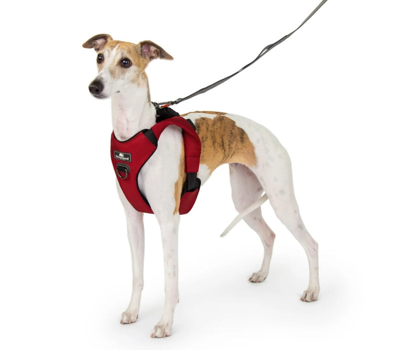 Sleepypod ClickIt Range Dog Car Safety Harness - Easy Lifting & Secure Travel for Your Dog