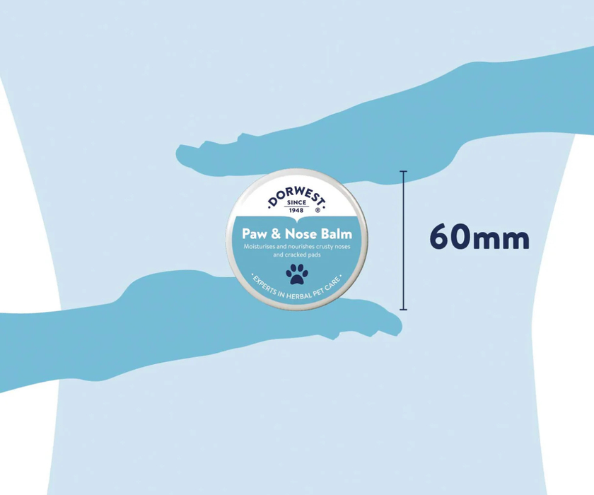 Dorwest Dog Paw and Nose Balm 50ml – 100% Natural Ingredients Moisturiser for Dogs