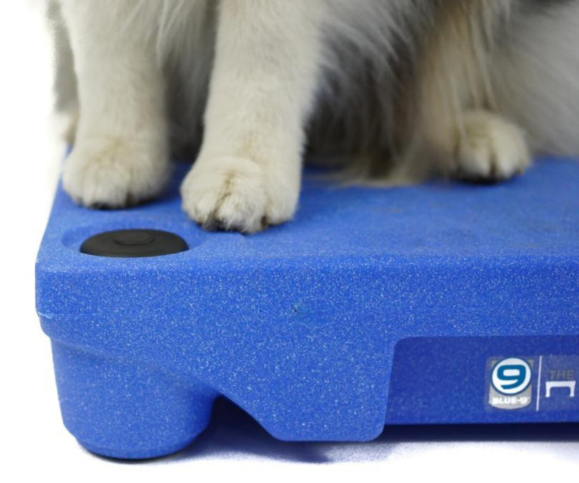 Blue-9 Sure Feet for Klimb Dog Training Platform - Non-Slip Feet & Safety Plugs for Klimb Platform