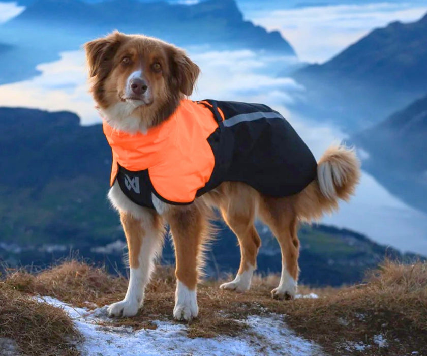 Non-Stop Dogwear Fjord Dog Raincoat 2.0 - Lightweight Waterproof Protection & Freedom of Movement