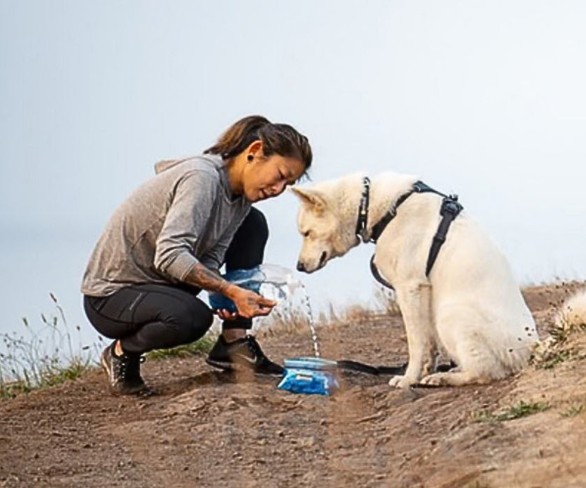 Ruffwear Quencher Packable Dog Bowl for Dogs - Collapsible Waterproof Fabric Bowl for Food & Water On the Go