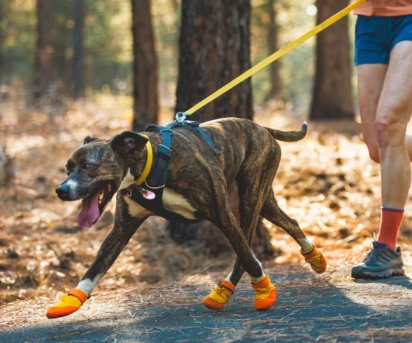 Ruffwear Summit Trex Dog Boots - Durable Paw Protection for All Seasons (two boots)