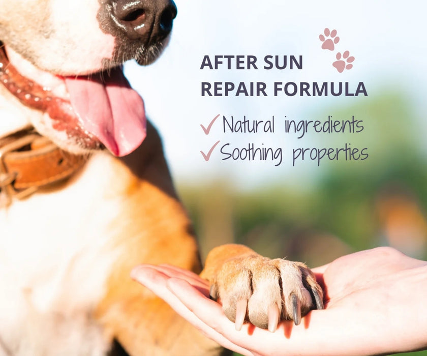 Noseprint Dog After Sun Balm for Dogs - Soothes, Hydrates & Supports Sun-Exposed Skin 30ml