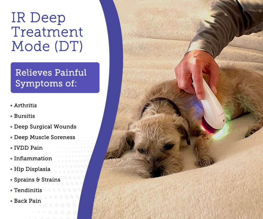 LumaSoothe Dog Light Therapy Device - Handheld LED Therapy for Pain Relief, Inflammation Reduction & Skin Healing