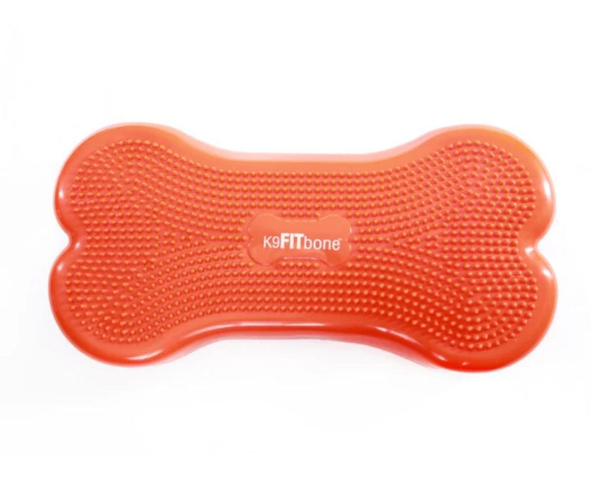 FitPaws Bone Regular - Purple, Orange, Aqua, Razzleberry, Sky Blue or Green