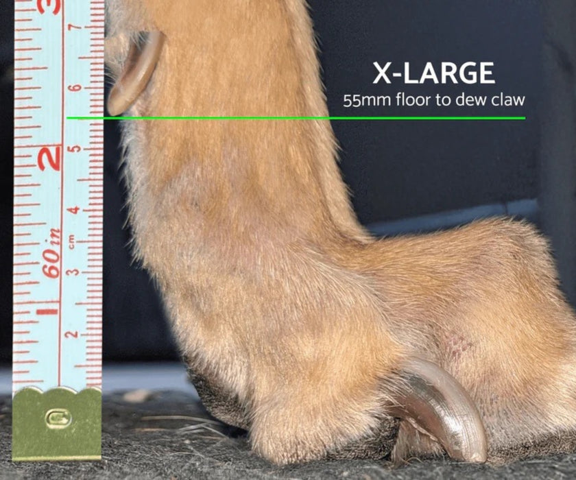 Hunnyboots - Set of Two Greyhound Boots V4 (a pair)