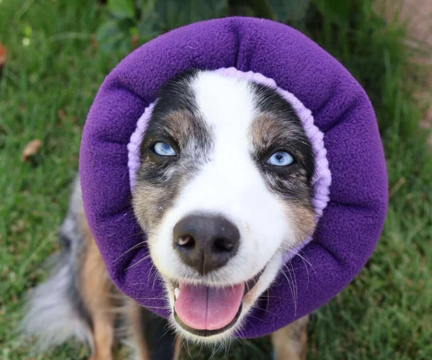 Soothe & Settle Dog Hush Muff - Noise Reducing Calming Snood for Anxiety, Travel & Stressful Situation Support