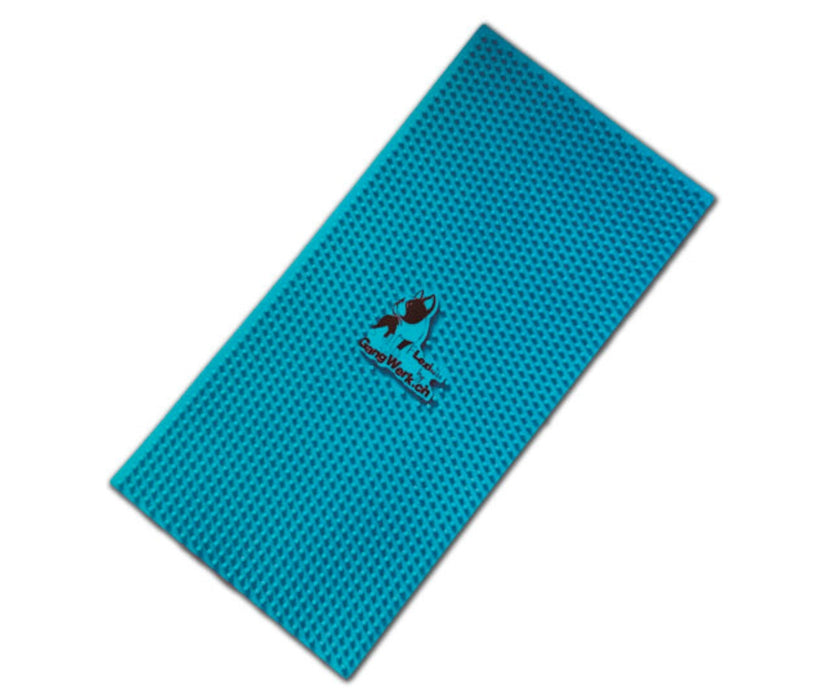 Flexiness Dog SensiMat Sensory Training Mat - Supports Grip & Balance for Rehab, Fitness & Confidence 30 x 60cm