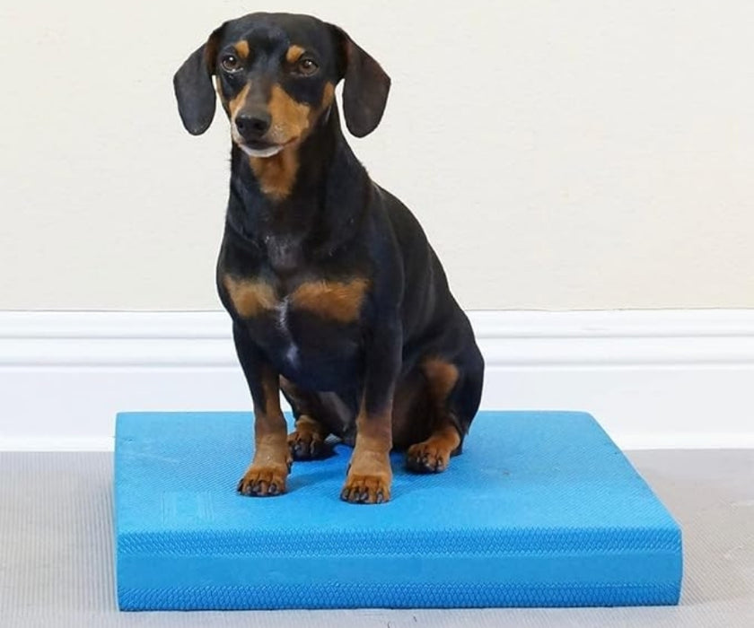 FitPaws Balance Pad 15" x 18.25" x 2" - Blue