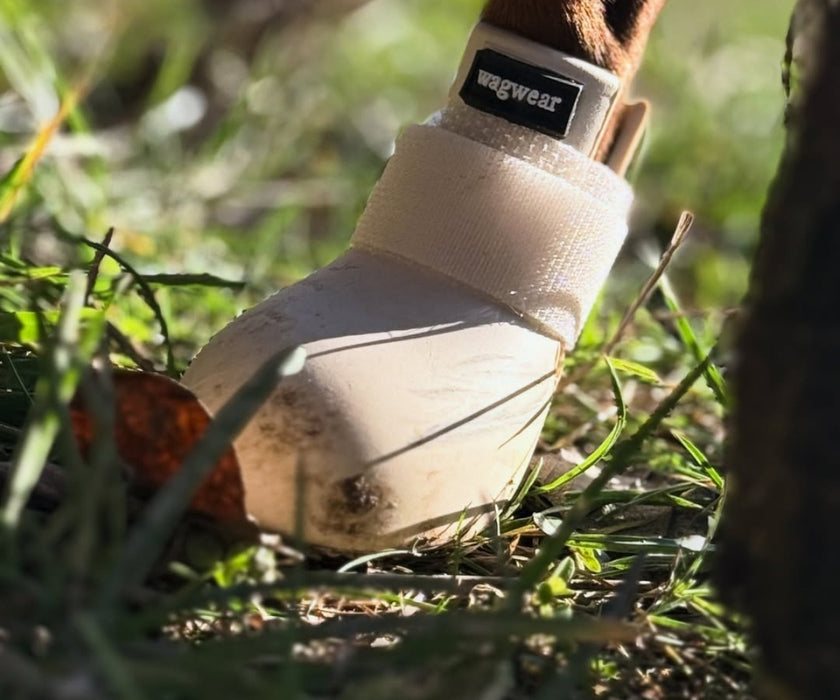 WagWear WagWellies Rubber Dog Boots (two boots)