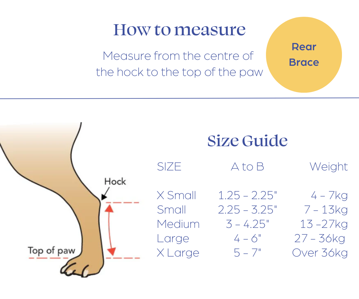 How to Measure Rear Training Sock