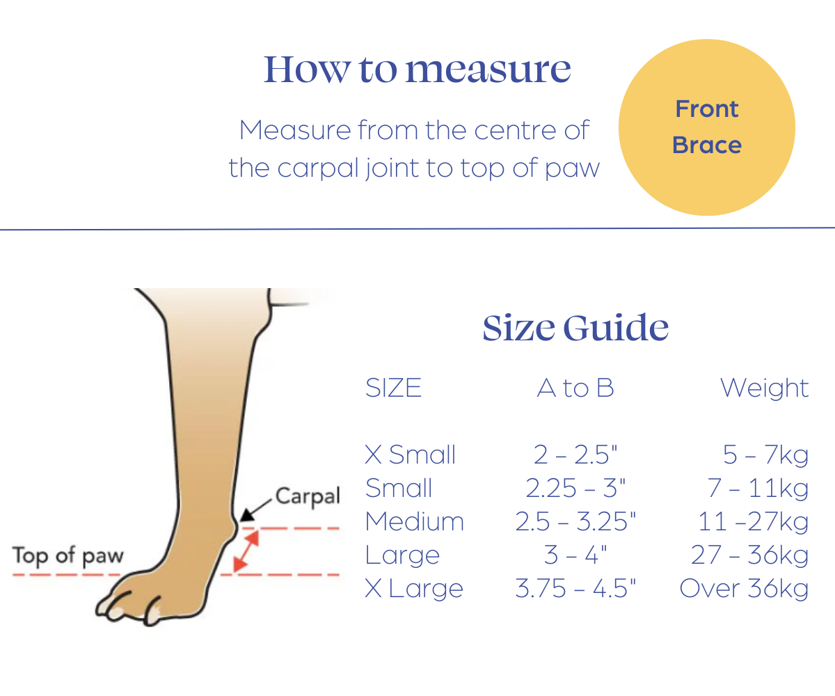 How to Measure Front Training Sock