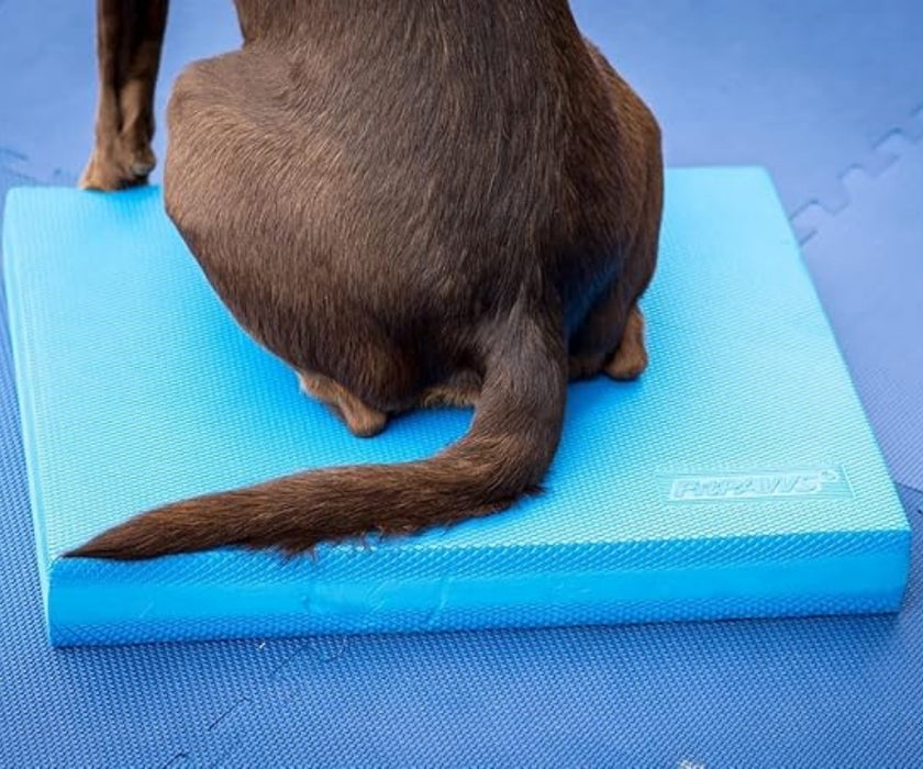 FitPaws Balance Pad 15" x 18.25" x 2" - Blue