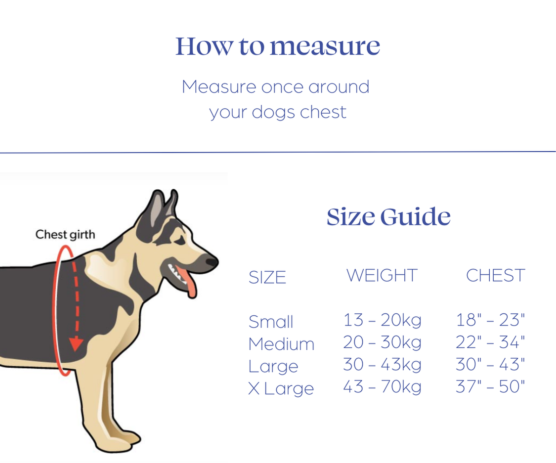 How to Measure Front Harness