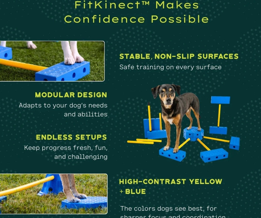 NEW! FitPaws FitKinect - Blocks and Tubes Great for Building Strength and Improving Condition