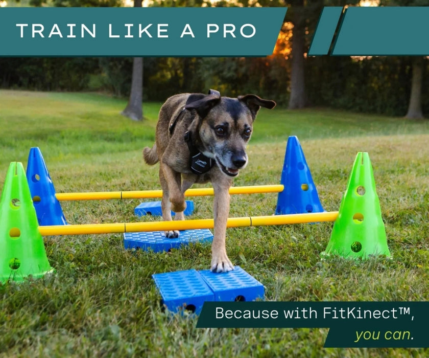 NEW! FitPaws FitKinect - Blocks and Tubes Great for Building Strength and Improving Condition
