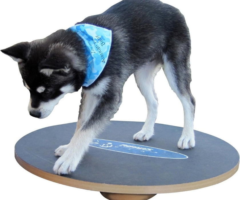 FitPaws Wobble Board 20" and 36"