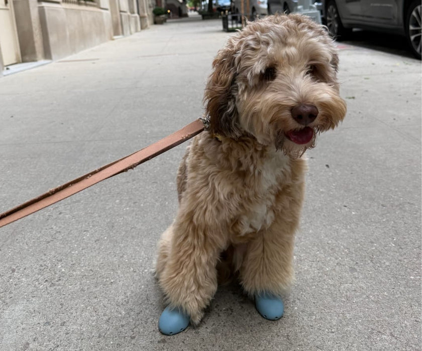 WagWear Sport Dog Boots - Lightweight Silicone Boots with Ventilation Holes & Extended Traction Tread (two boots)
