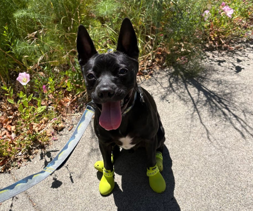 WagWear Sport Dog Boots - Lightweight Silicone Boots with Ventilation Holes & Extended Traction Tread (two boots)