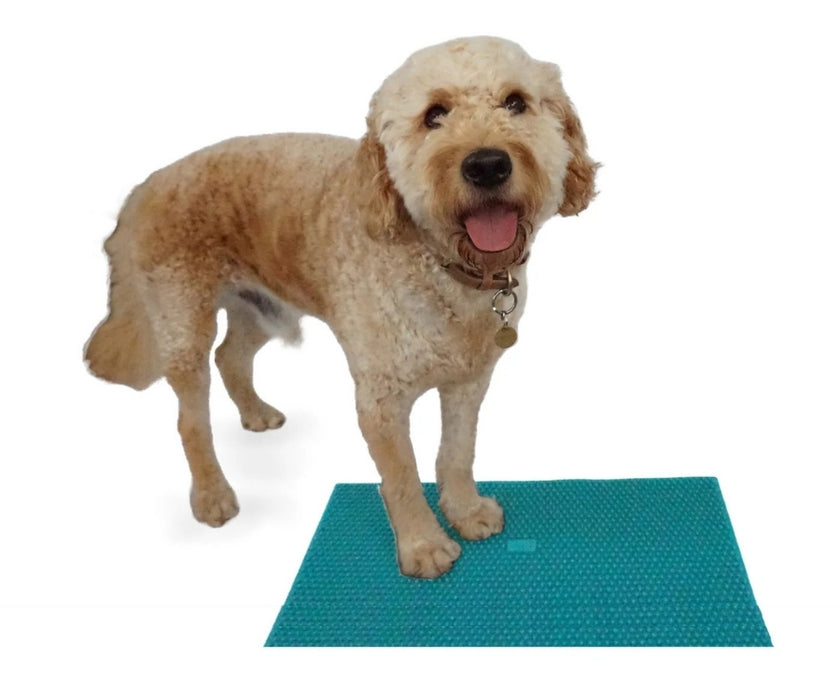 FitPaws K9 FitMat 24" x 12"