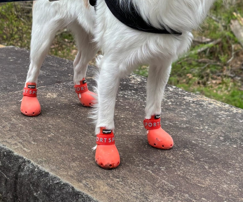 WagWear Sport Dog Boots - Lightweight Silicone Boots with Ventilation Holes & Extended Traction Tread (two boots)