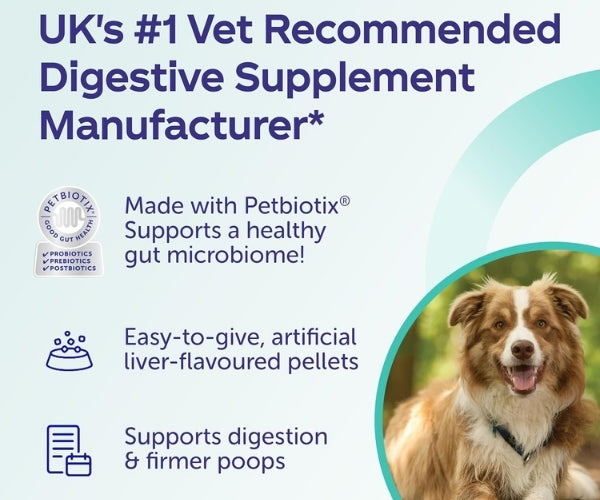 Protexin Pro-Fibre Advanced for Dogs - High Fibre Digestive Support 500g Tub Pellets